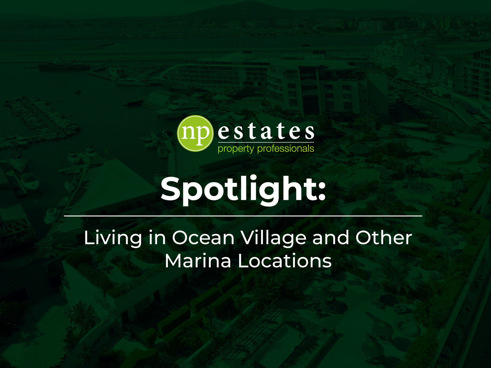 Spotlight: Living in Ocean Village and Other Marina Locations Image